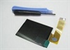 Sony Cyber-shot DSC-W200 LCD Display