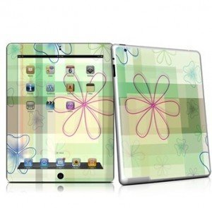 iPad skin