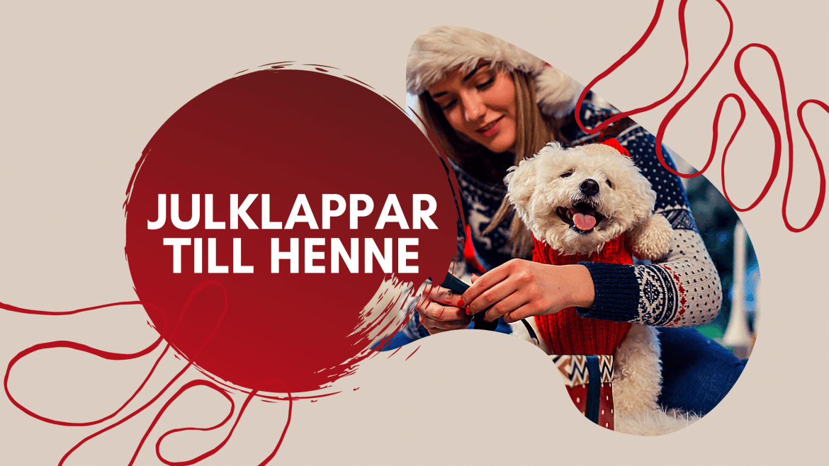 Topp 10 julklappstips till henne i Sverige