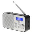 Camry CR 1179 DAB/DAB+/FM-radio med 2000mAh-batteri - silver/svart