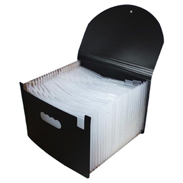 Klassificerad A4 Teleskopisk Fil Arrangör - 24 Platser