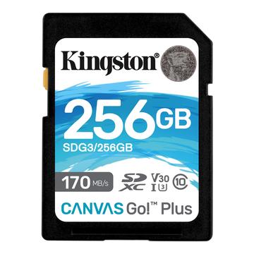 Kingston Canvas Go! Plus microSDXC-minneskort SDG3/256 GB