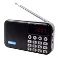 Bärbar DAB Radio med Bluetooth och LCD Display