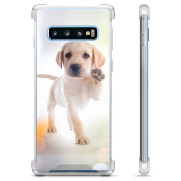 Samsung Galaxy S10+ Hybridskal - Hund