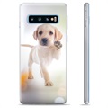 Samsung Galaxy S10+ TPU-Skal - Hund