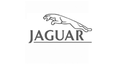 Jaguar fäste för instrumentpanel