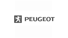 Peugeot fäste för instrumentpanel
