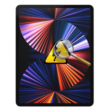 iPad Pro 12.9 (2021) Diagnos