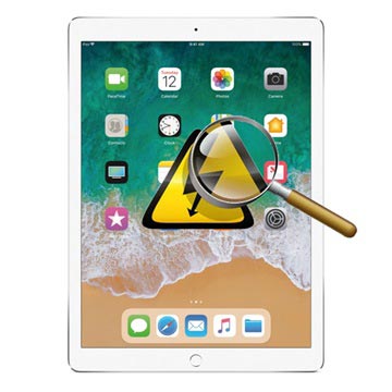 iPad Pro 12.9 Diagnos