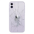 iPhone 11 Bakskal Reparation - Endast Glas - Lila