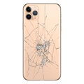 iPhone 11 Pro Max Bakskal Reparation - Endast Glas - Guld