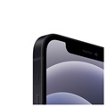 iPhone 12 Mini - 64GB (Använd - Bra skick) - Svart