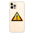 iPhone 12 Pro Bak Skal Reparation - inkl. ram - Guld
