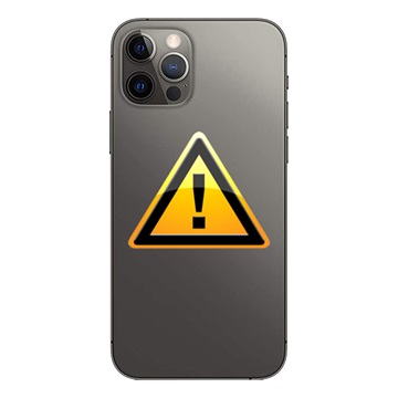 iPhone 12 Pro Max Bak Skal Reparation - inkl. ram - Svart