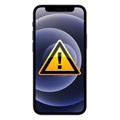 iPhone 12 mini Kamera Lins Glas Reparation