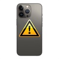 iPhone 13 Pro Bak Skal Reparation - inkl. ram - Svart