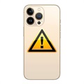 iPhone 13 Pro Bak Skal Reparation - inkl. ram - Guld
