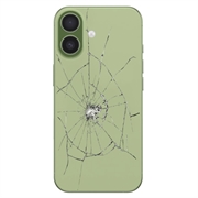iPhone 17 Bakskal Reparation - Endast Glas - Sage