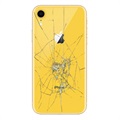 iPhone XR Bakskal Reparation - Endast Glas