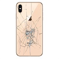 iPhone XS Max Bakskal Reparation - Endast Glas - Guld