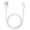 Apple Lightning / USB Kabel ME291ZM/A - Vit - 0.5m