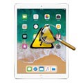 iPad Pro 12.9 Diagnos